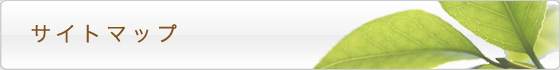 サイトマップ