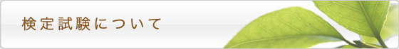 検定試験について